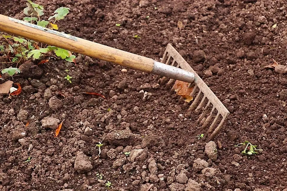Grebla cu coadă de lemn care trebuie curățată și unsă