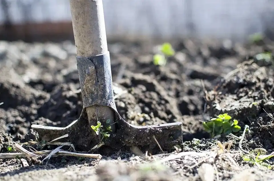 Hârleț cu coadă de lemn care trebuie inspectată înainte de sezon